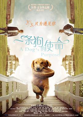 一区二区三区欧美视频